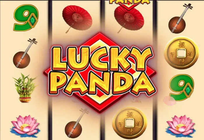Comprehensive online casino experience featuring top games, bonuses, and dedicated support.